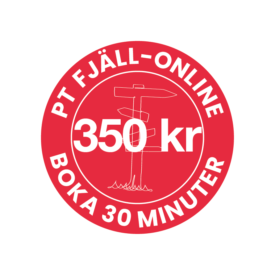 PT Fjäll-online, boka 30 minuter för 350kr